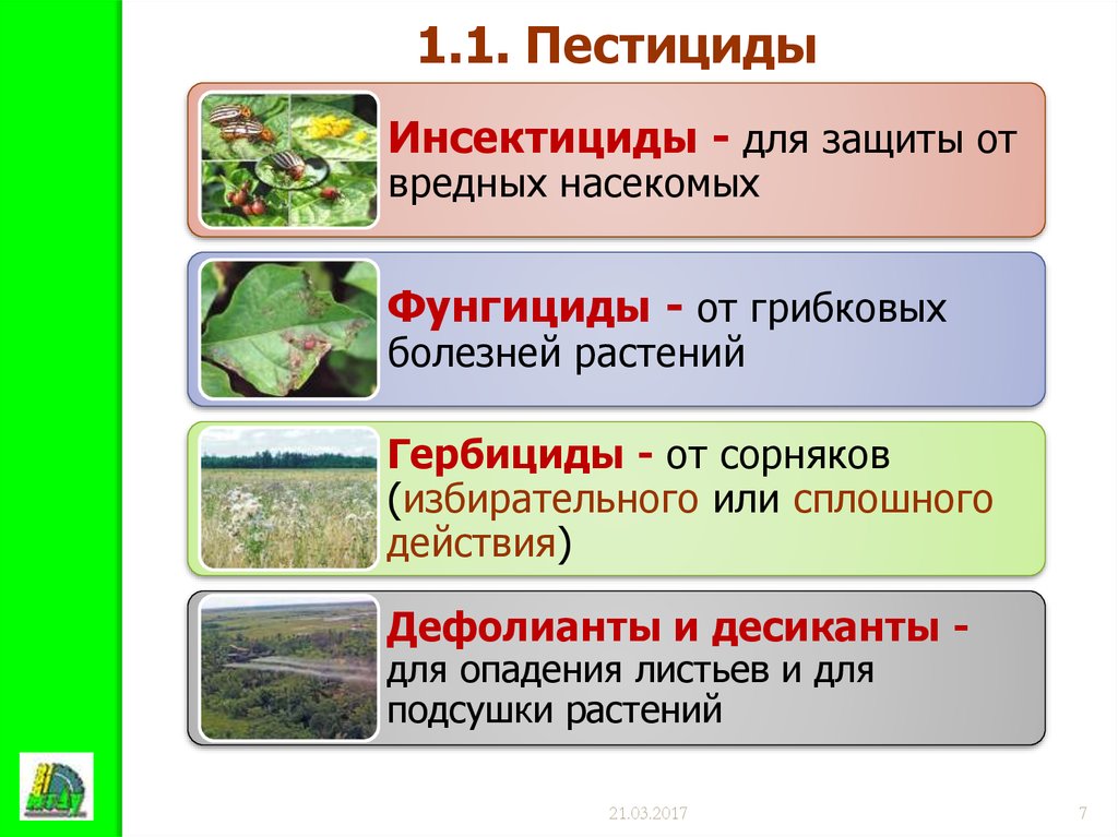 Защита растений от вредителей и болезней презентация