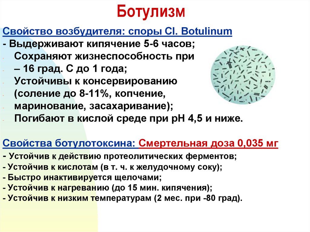 Ботулизм презентация по микробиологии