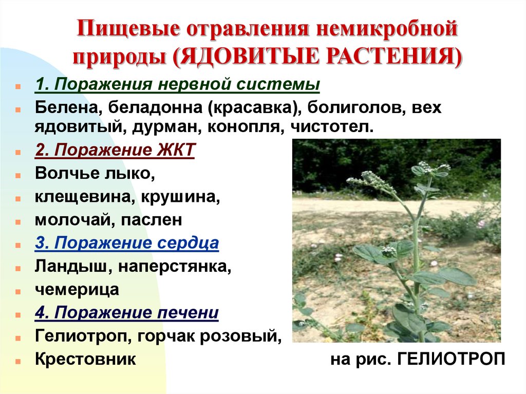 Отравления немикробной природы