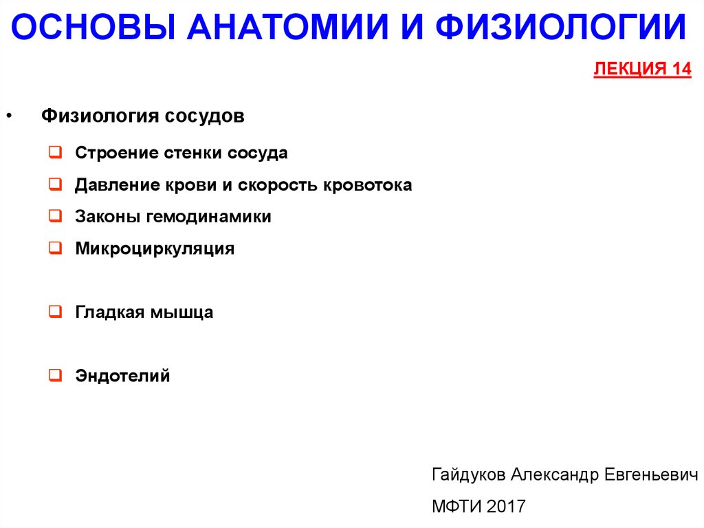 Основы анатомии