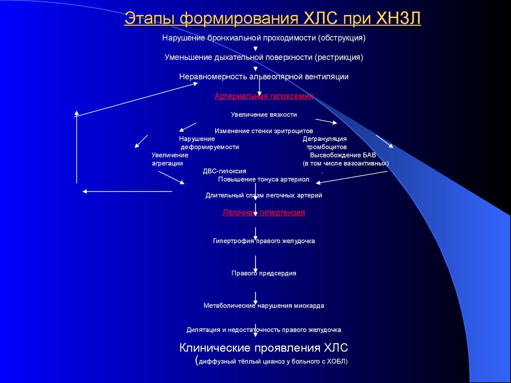 Хроническое легочное сердце патогенез. Хроническое легочное сердце классификация. Хроническое легочное сердце при ХОБЛ. Изменения в сердце при ХНЗЛ. Патогенез легочного сердца при ХОБЛ.