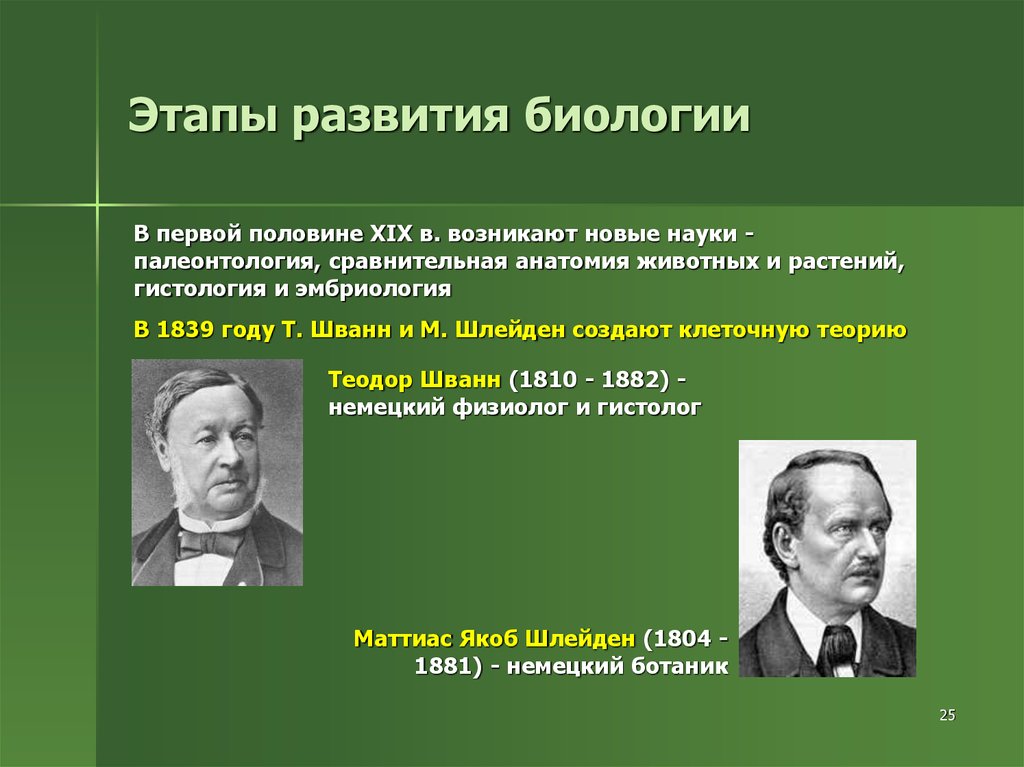 Формирование и развитие науки. Маттиас Якоб Шлейден вклад в биологию. Этапы развития биологической науки. Этапы биологического развития. История развития биологии.