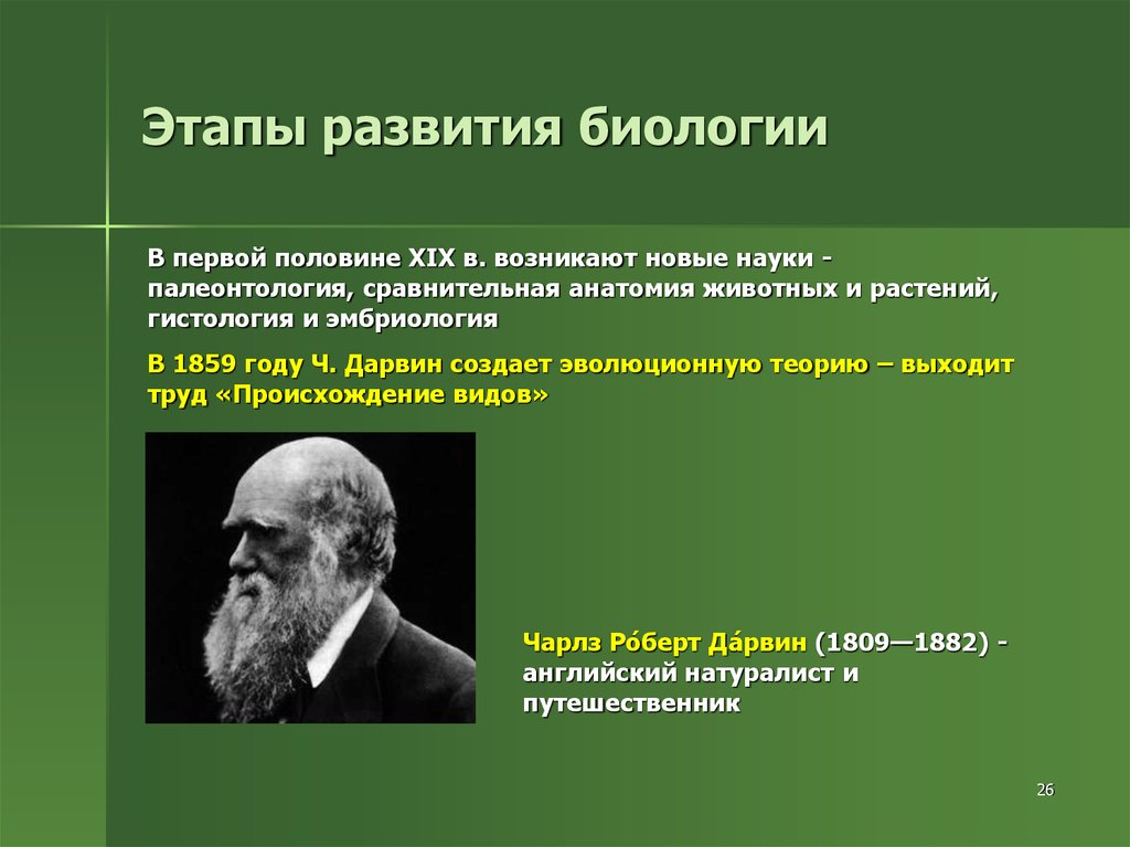 Как развивалась наука. Этапы биологического развития. Этапы развития биологии. Исторические этапы развития биологии. Развитие это в биологии.