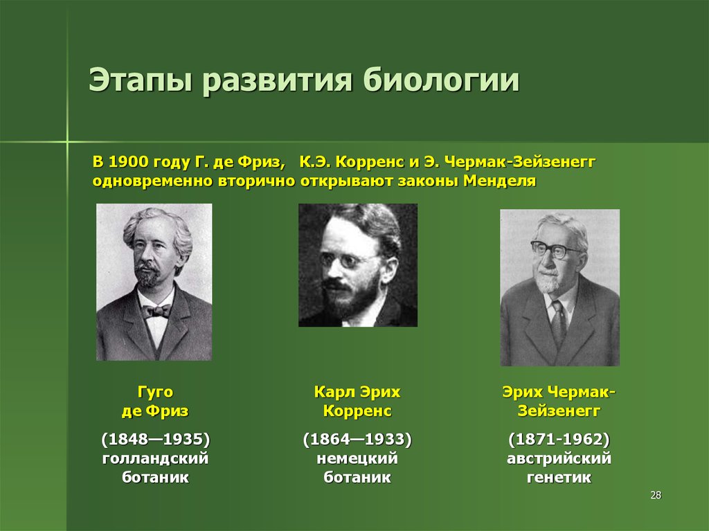 Тема развитие биологии. Карл Корренс Эрих Чермак Гуго де фриз. Первый этап развития генетики. Де фриз, к. Корренс и э. Чермак,. Г де фризом к Корренсом и э Чермаком.