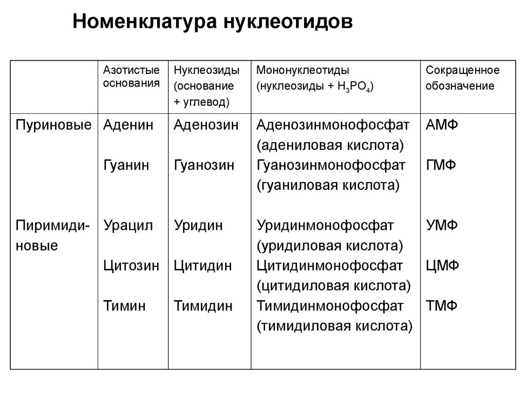 Кислоты сокращенно. Номенклатура нуклеотидов и нуклеозидов. Номенклатура нуклеиновых кислот. Нуклеозиды: структура, классификация, номенклатура.. Нуклеозиды строение и номенклатура.