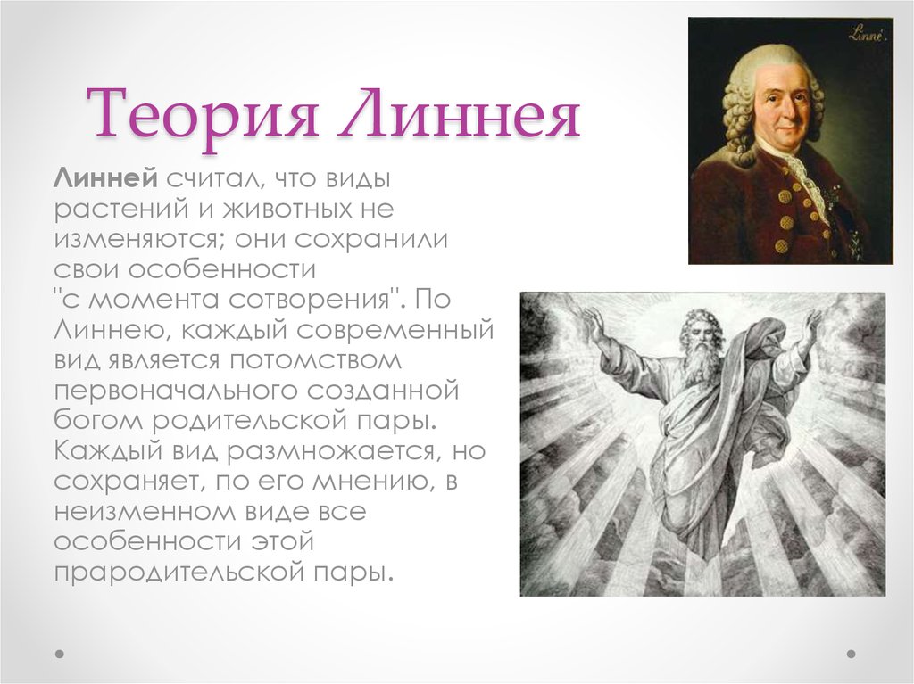 Создавший вид. Эволюционная теория Карла Линнея. Карл линеней Тоерия эаолю. Линней эволюционная теория. Линней доказательства теории.