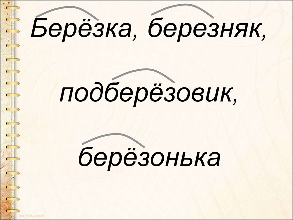 Состав слова подберезовик. Подберезовик береза Березняк Березка. Слово Березняк. Презентация 2 класс понятие о корне. Березняки корень слова.