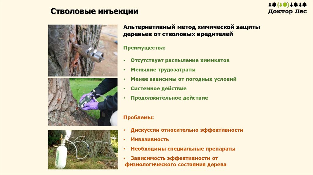 Стволовые инъекции