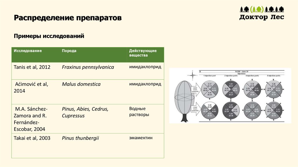 Исследованы образцы. Примеры исследований. Примеры распределения лекарств. Примеры освоения вещества. Тефлонические средства - примеры.