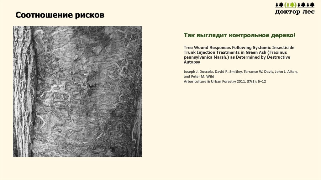 Соотношение рисков