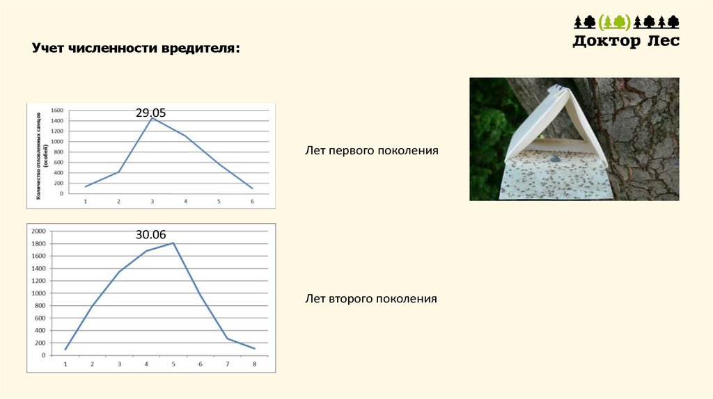 Учет численности. Методы учета численности вредителей. Учет численности насекомых. Учёт численности вредителей, обитающих в почве. Численный учет.