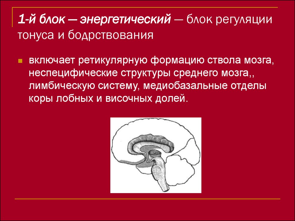 Энергетический блок мозга блок регуляции тонуса и бодрствования презентация