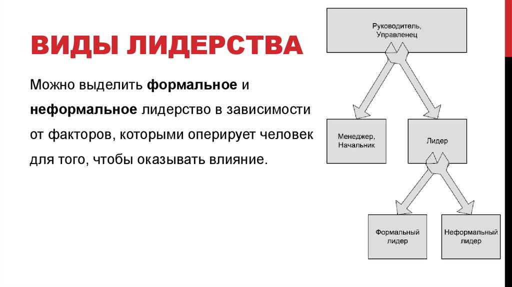 Виды лидеров. Виды лидерства. Лидерство схема.