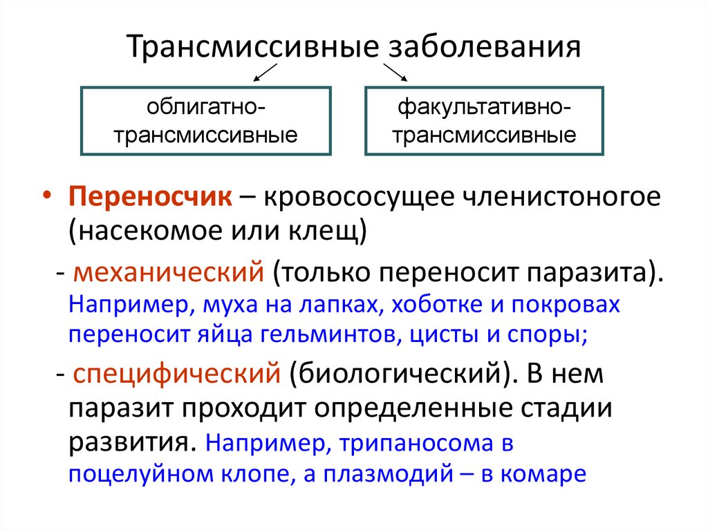 Схема трансмиссивного природного очага