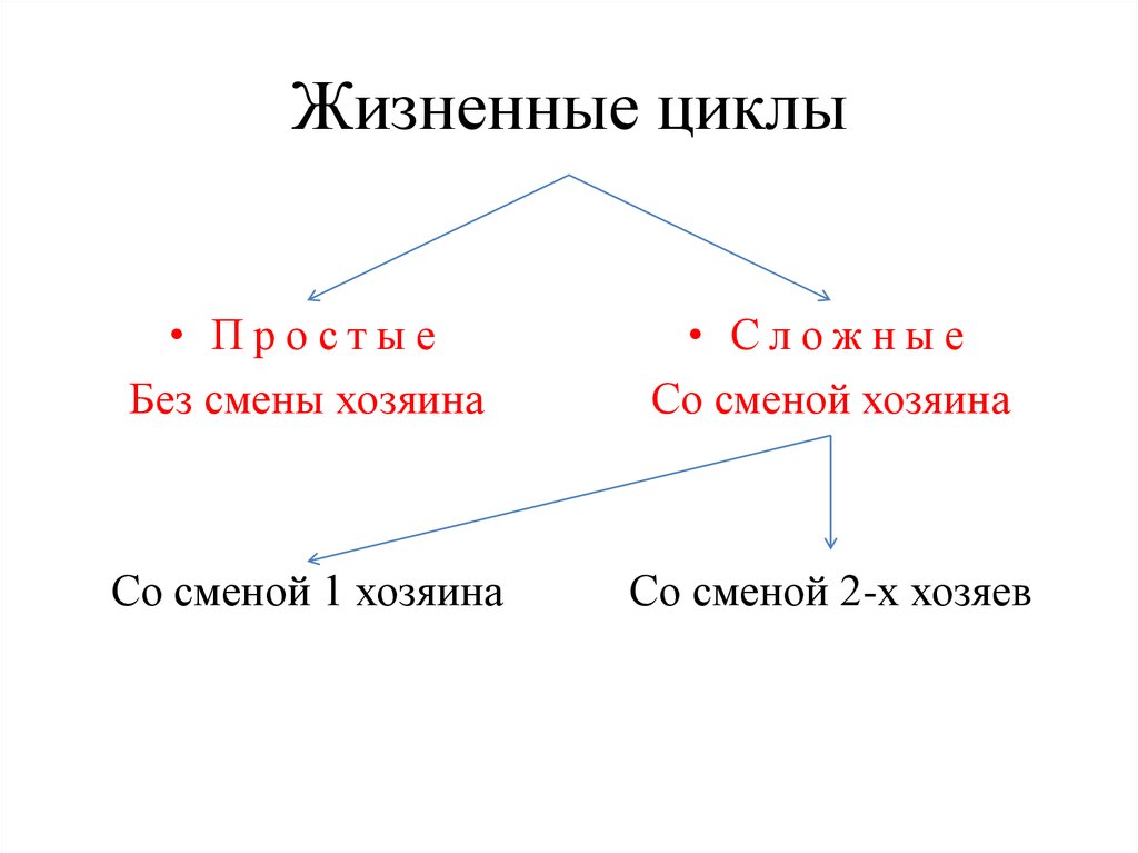 Простой цикл. Жизненный цикл протистов. Простой и сложный жизненный цикл. Простой жизненный цикл. Жизненный цикл простейших.