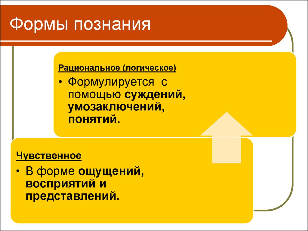 Формы познания. Чувственное и логическое познание. Формы рационального логического познания. Рациональное логическое познание.