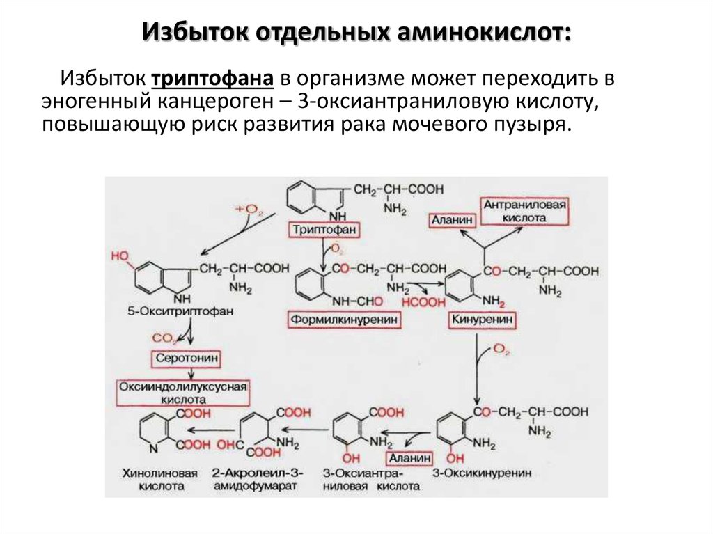 Триптофан биохимия. Метаболиты триптофана. Синтез никотиновой кислоты из триптофана. Схема метаболизма триптофана в организме человека. Дефицит триптофана симптомы.