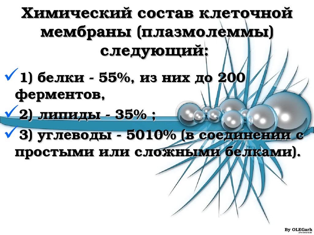 Химический состав плазмолеммы