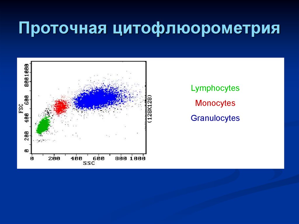 Схема подсчета лимфоцитов разных популяций с помощью проточного цитофлюориметра иммунология