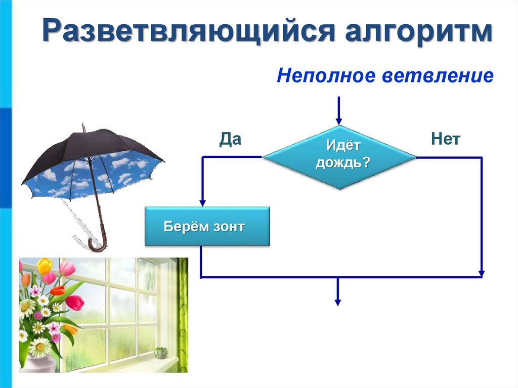 Алгоритмы с ветвлениями 6 класс презентация