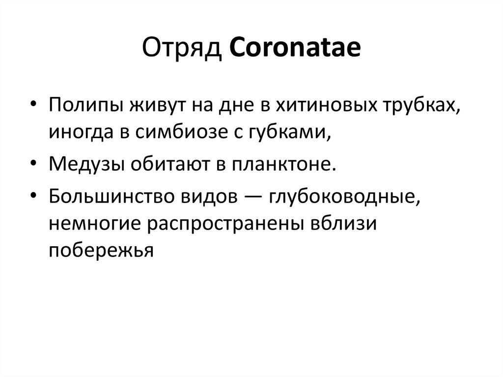 Отряд Coronatae