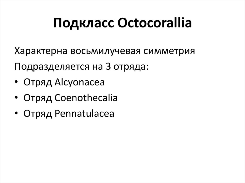 Подкласс Octocorallia