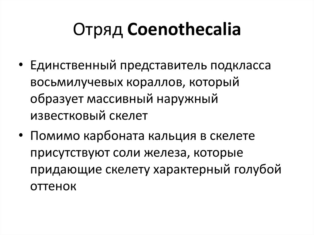 Отряд Coenothecalia