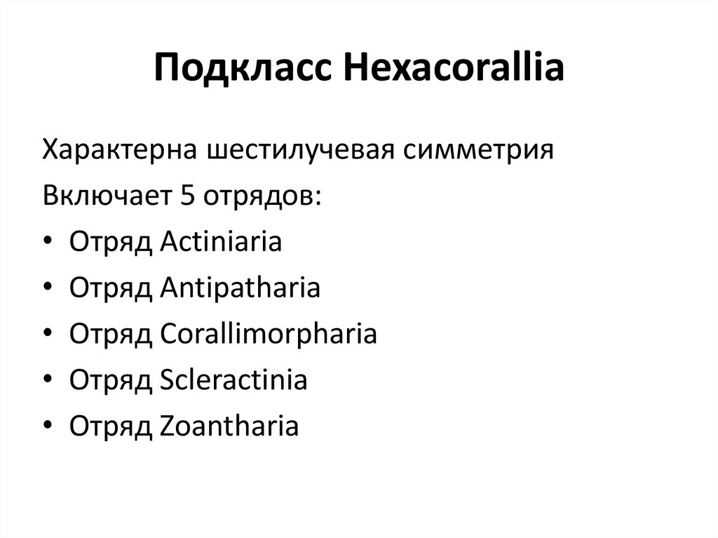 Подкласс Hexacorallia