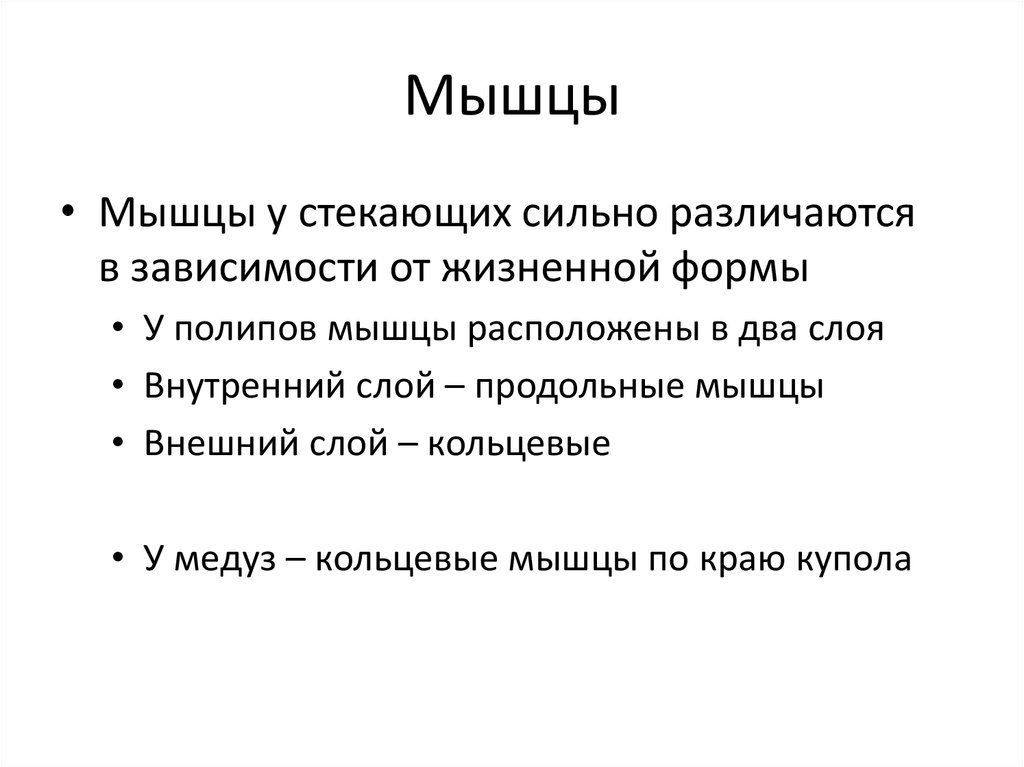 Мышцы