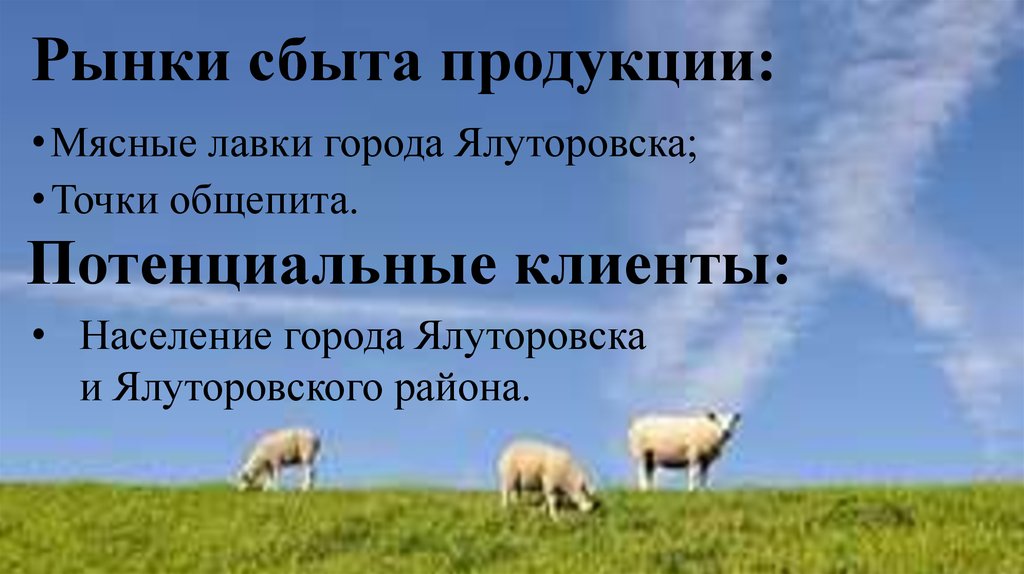 Рынки сбыта продукции: