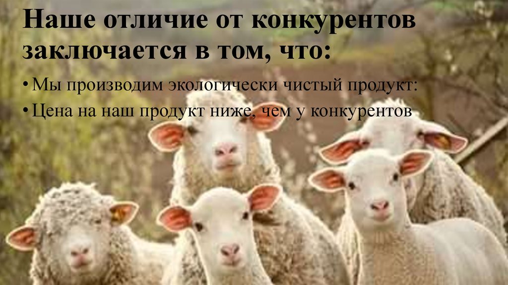 Наше отличие от конкурентов заключается в том, что:
