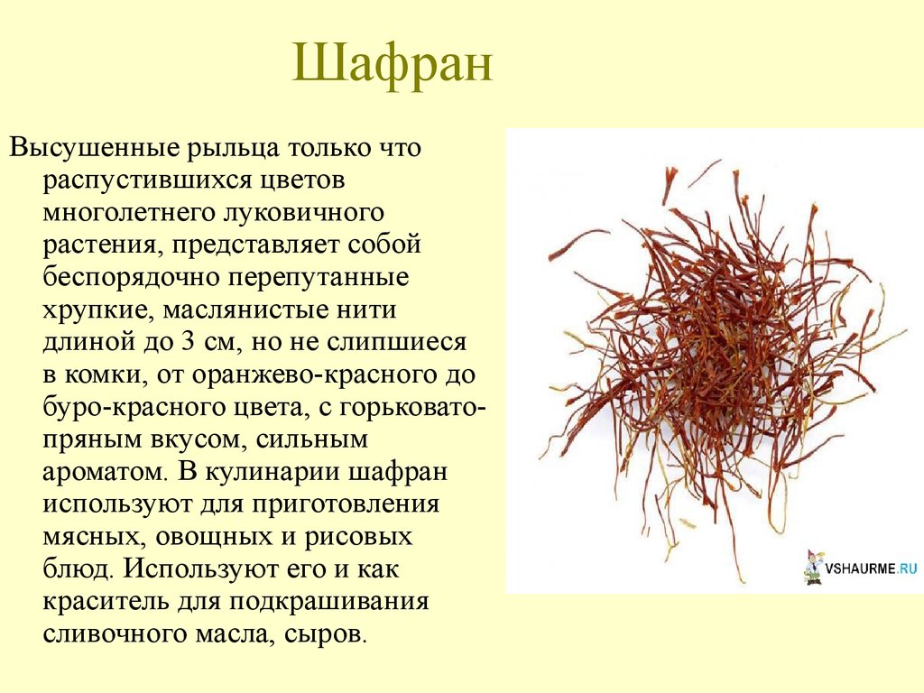 Как примет шафран. Шафран лекарственное растение. Рыльца шафрана. Шафран для чего. Что такое рыльца цветка шафрана.