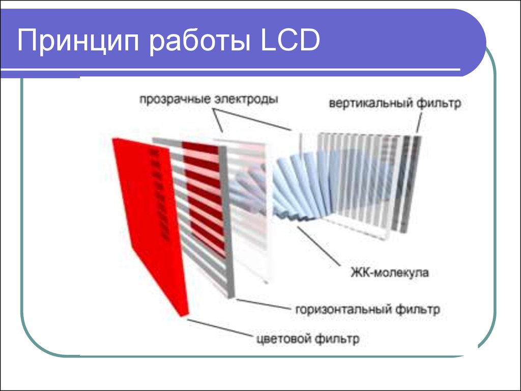 Устройство жк дисплея. Полимерные жидкокристаллические устройства (LCD). LCD строение. Строение LCD (жидкокристаллического) монитора. Строение LCD монитора.