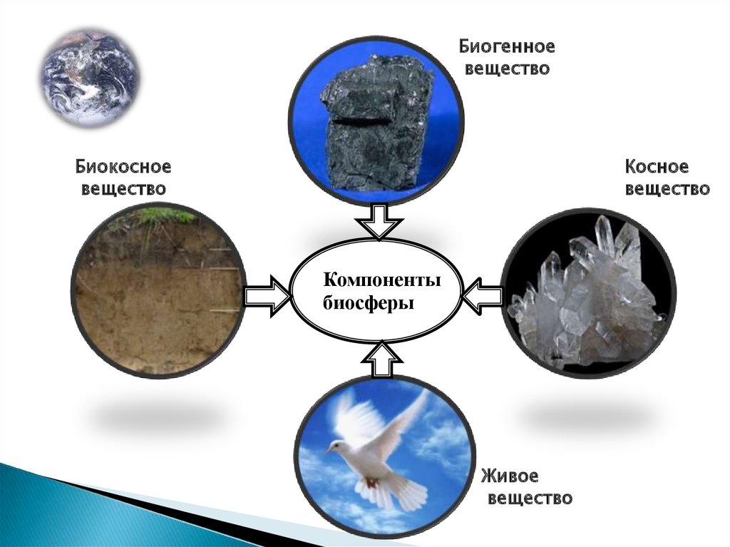 Вещество земли. Компоненты биосферы биогенное вещество. Биогенные Биокосные и косные вещества таблица. Биокосное косное и живое вещество. Функциональные компоненты биосферы.