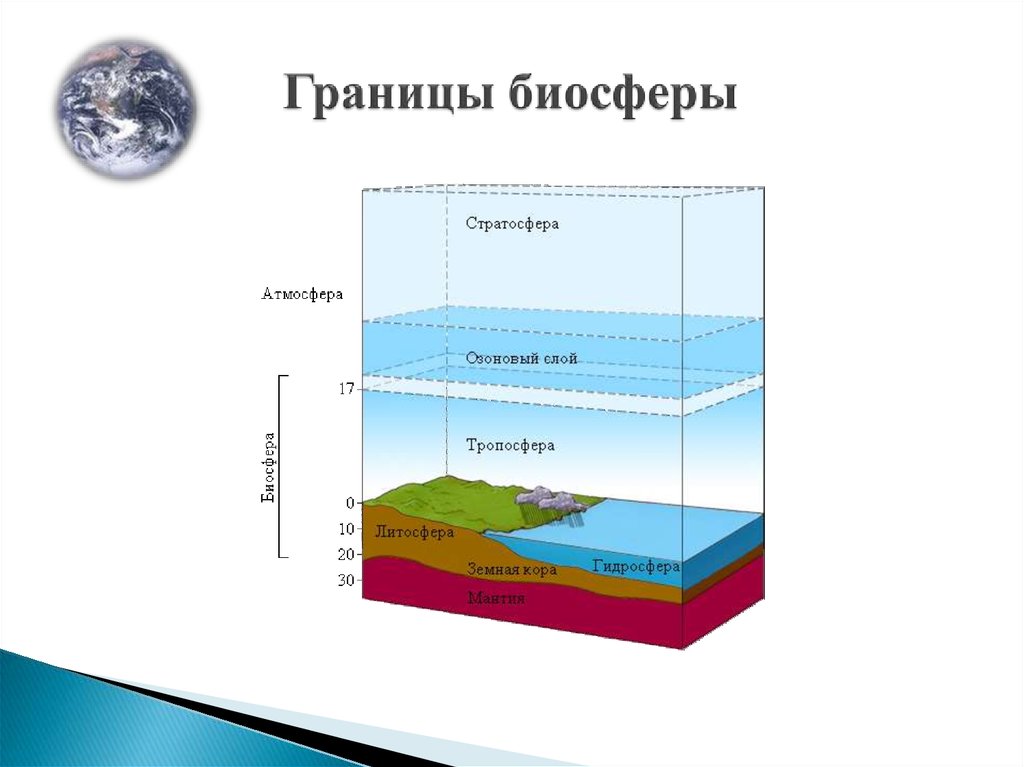 Верхняя граница в атмосфере определяется. Слои атмосферы Биосфера. Структура биосферы и ее границы. Структура биосферы земли. Биосфера структура биосферы.