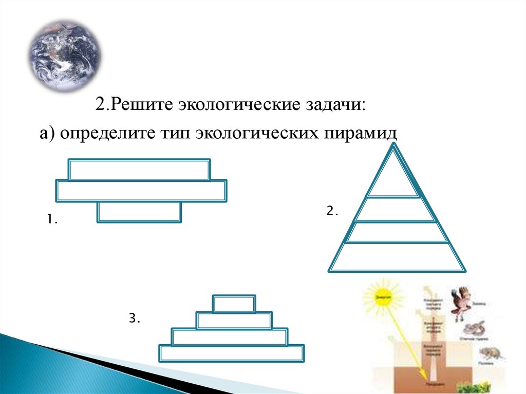 Пирамиды энергии задачи