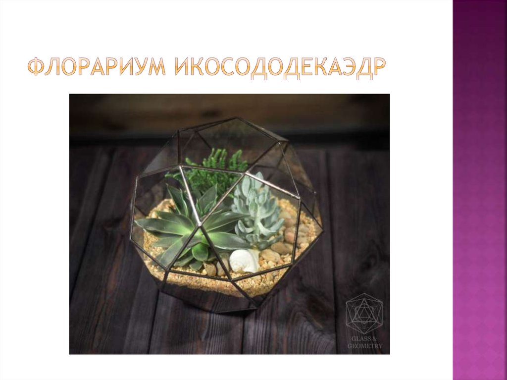 Флорариум икосододекаэдр
