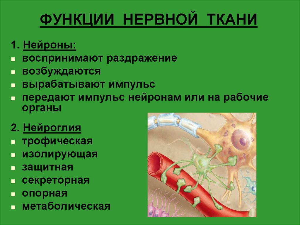 Функция хлопок