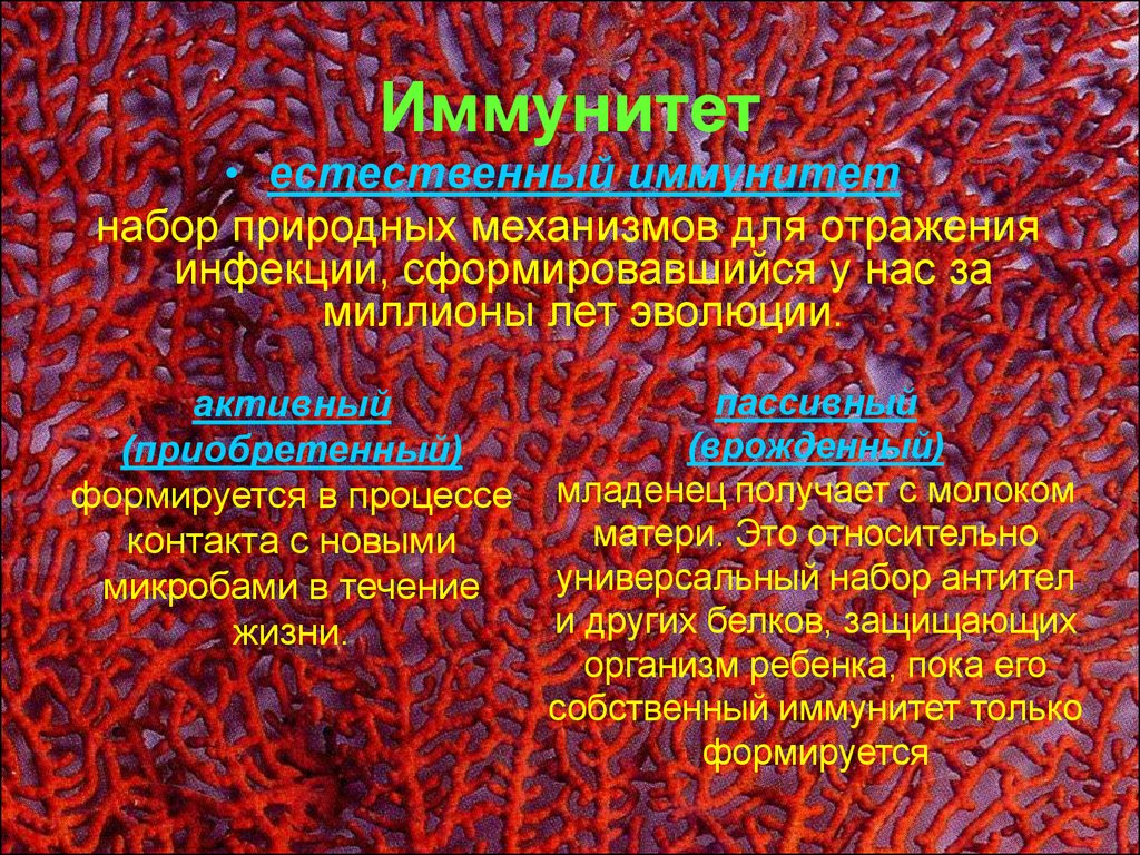 Борьба организма с инфекцией