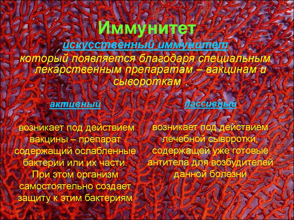 Борьба организма с инфекцией