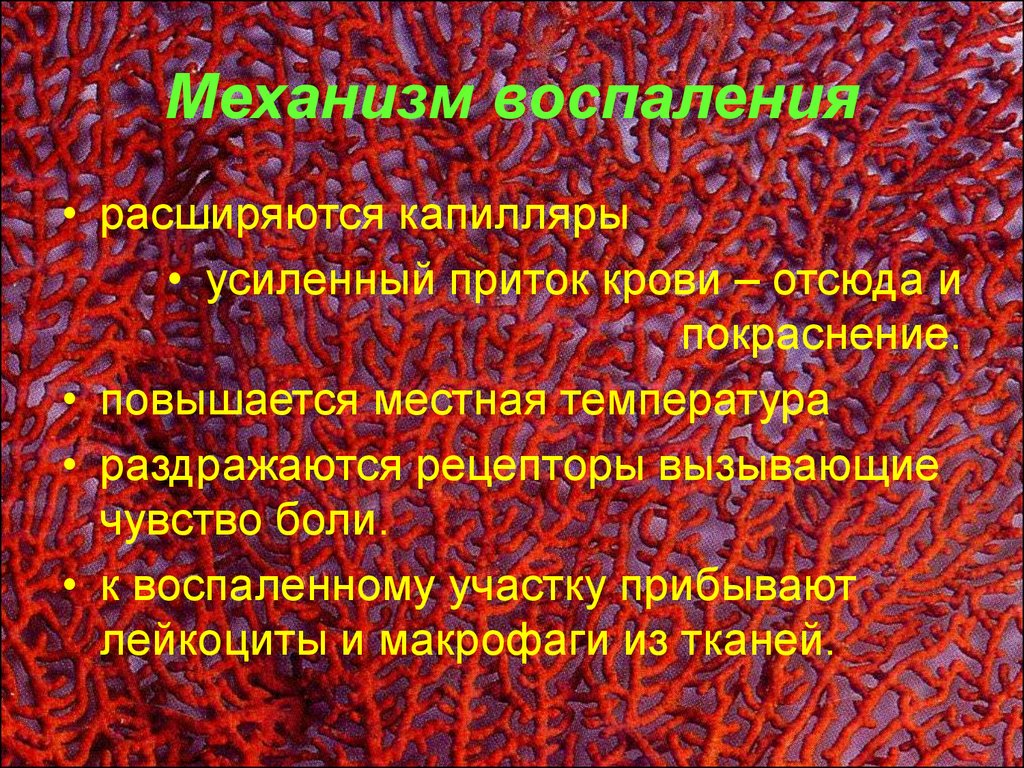 Механизм действия воспаления. Механизм возникновения воспаления.