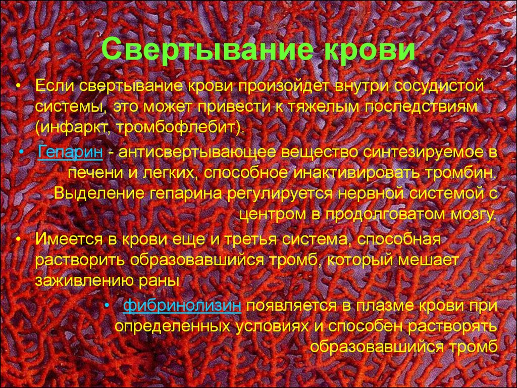 Свертывание происходит благодаря. Гепарин свертывание крови. Гепарин свертываемость крови. Гепарин синтезируется в печени. Свертывание крови происходит благодаря.