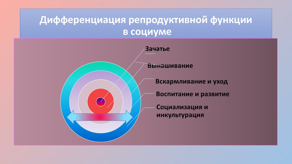 Репродуктивная функция. Репродуктивная дифференциация. Репродуктивная функция культуры. Детородная функция. Дифференциация репродуктивного поведения.