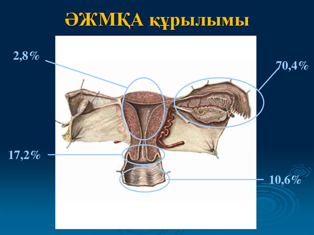 Әйел жыныс мүшелерінің қабыну аурулары презентация