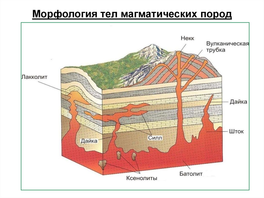 Какой цифрой на схеме формы глубинных тел образованных магматическими породами обозначен сил