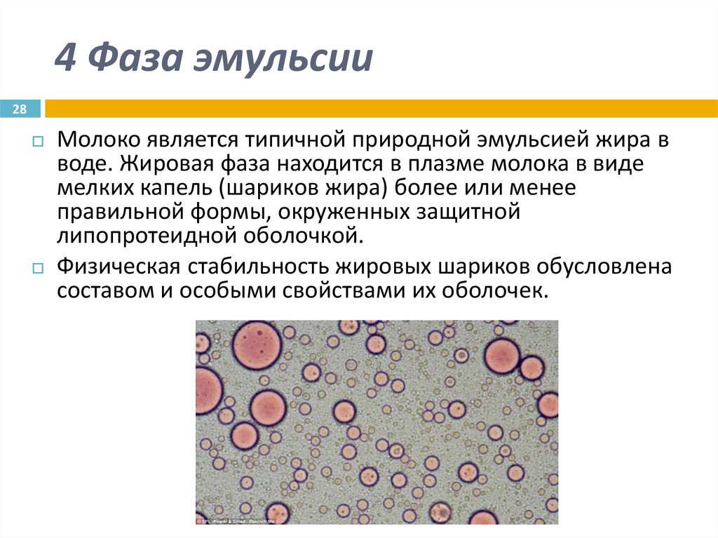 Молоко это эмульсия. Молоко эмульсия. Фазы эмульсии. Молоко в фазе эмульсии. Природные эмульсии.