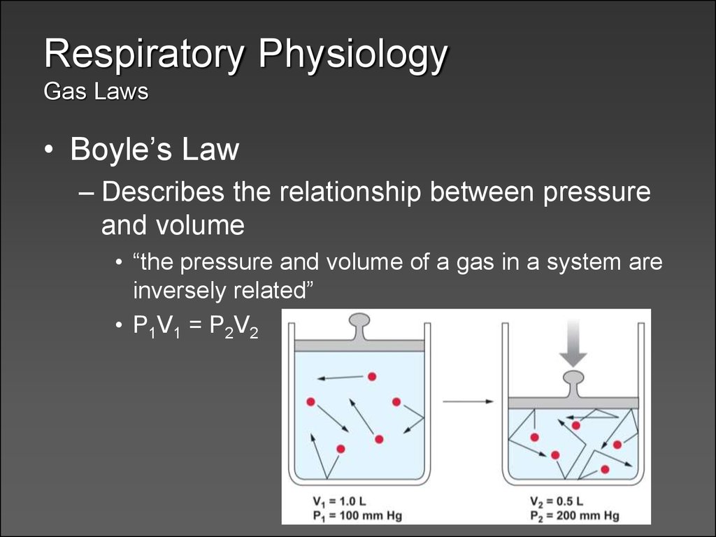 Respiratory Physiology Gas Laws