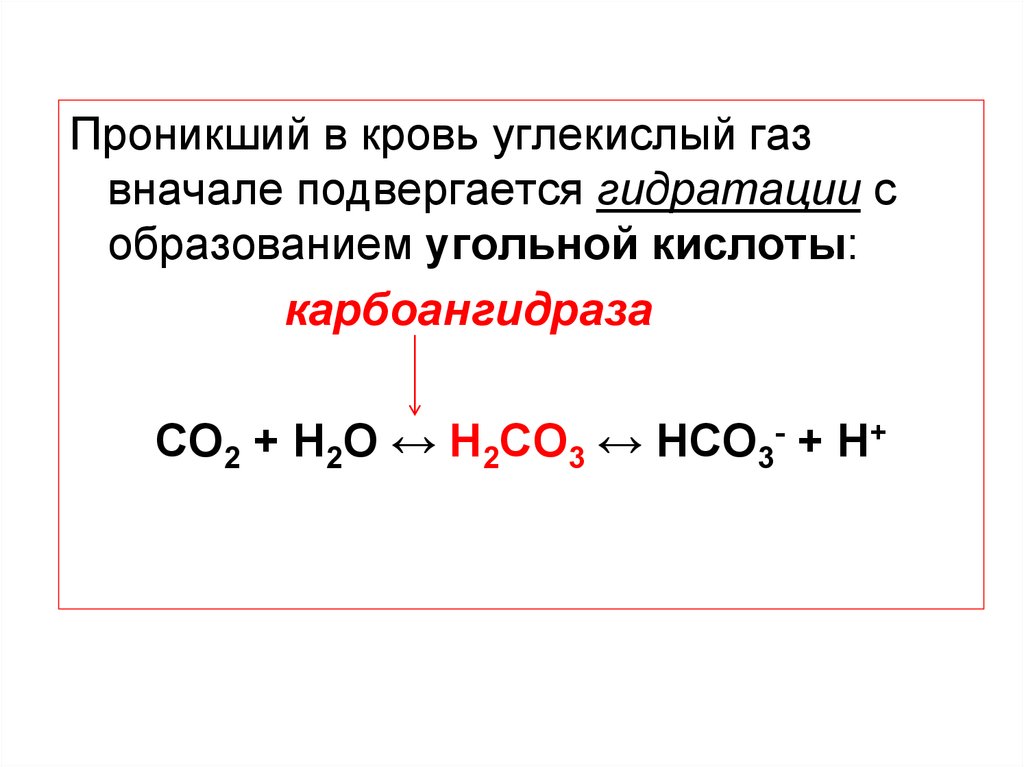 Образование углекислого. Карбоангидраза реакция. Гидратация углекислого газа. Карбоангидраза в дыхании. Гидратация диоксида углерода.