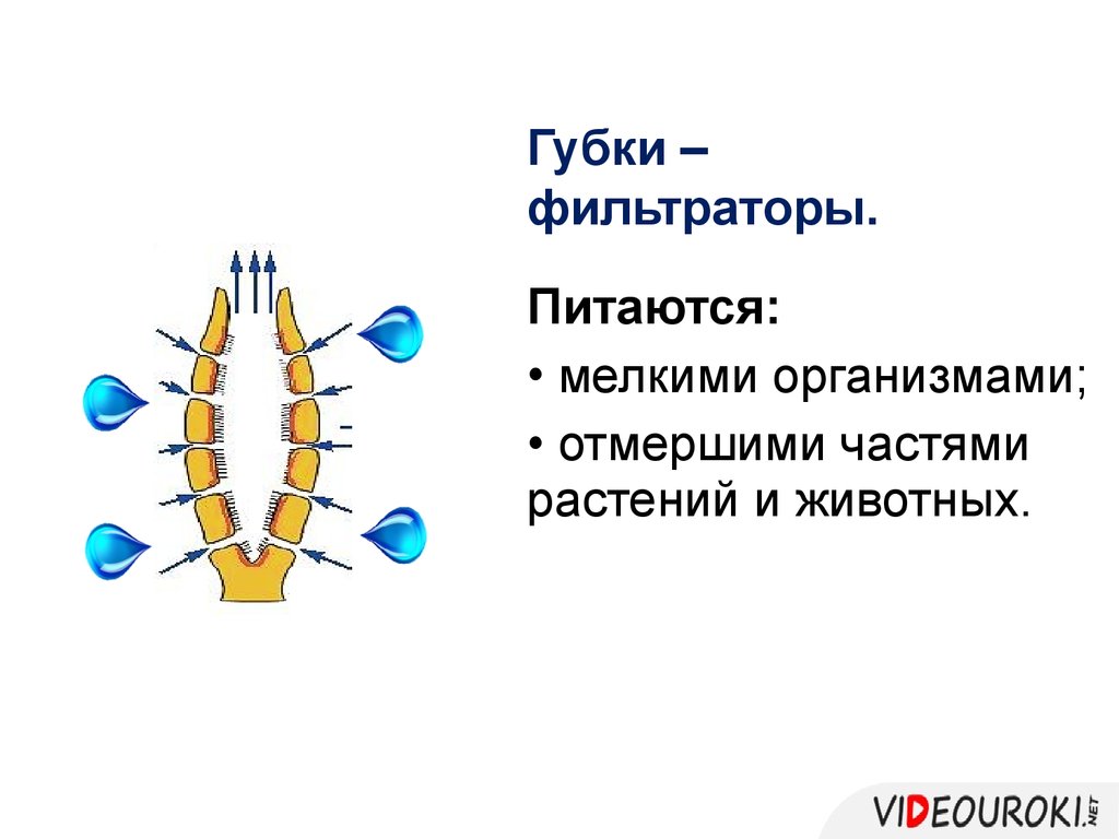 Схема питания губки