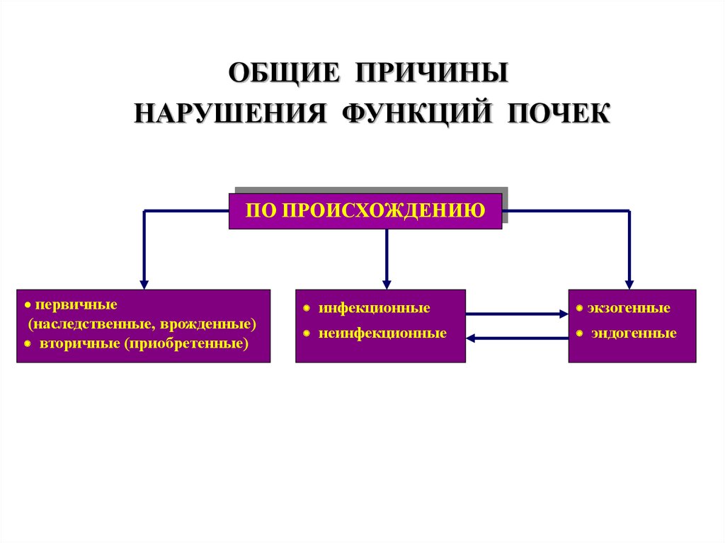 Общие причины. Первичные (врожденные) и вторичные (приобретенные). Совокупные причины. Тип наследования первичных аритмий. Врожденные и наследственные заболевания почек у детей.